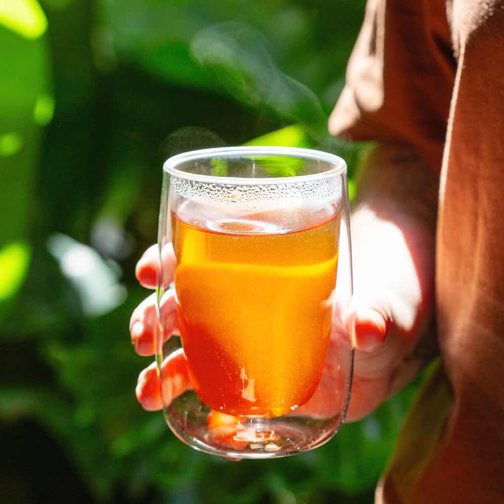 Chá Oolong Praliné – Talchá